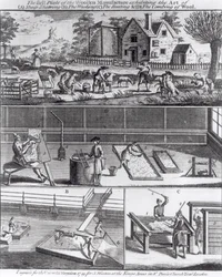 Villatehtaan ensimmäinen lautanen, joka esittelee (A) lampaiden leikkaamista (B), pesua (C) lyömistä ja (D) villan kampausta, kaiverrettu Universal Magazinea varten, 1749 (